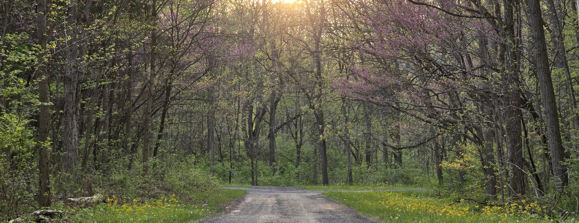 East Side Evening Hike